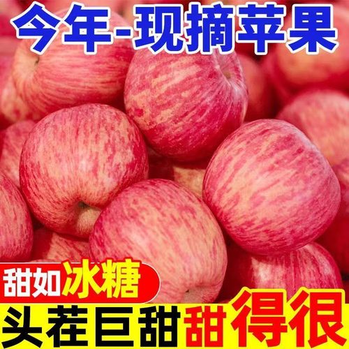 红富士苹果 9-10 斤彩箱